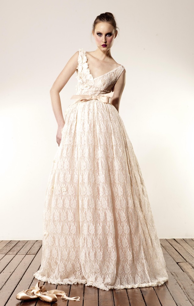 V Neckline Lace Gown from Anaessia