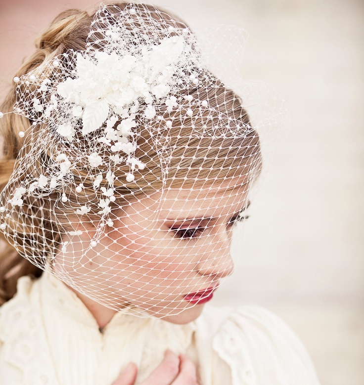 Birdcage Veil from Be Something New