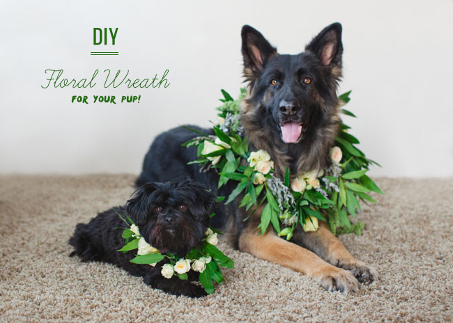 DIY Puppy Floral Wreath