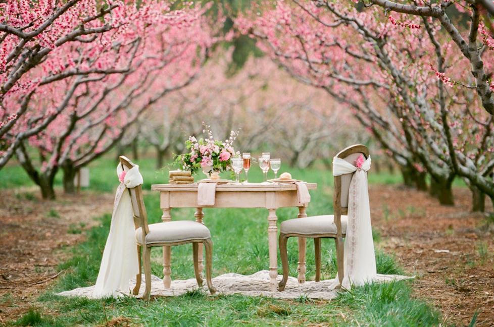 Sweetheart Table - Beautiful Blossom-Filled Spring Wedding Ideas In An Orchard