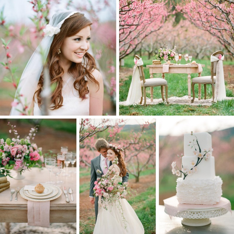 Beautiful Blossom-Filled Spring Wedding Ideas In An Orchard
