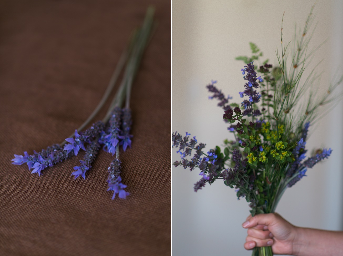 A Beautiful Just-Picked Summer Bouquet of Foraged Flowers & Fruits