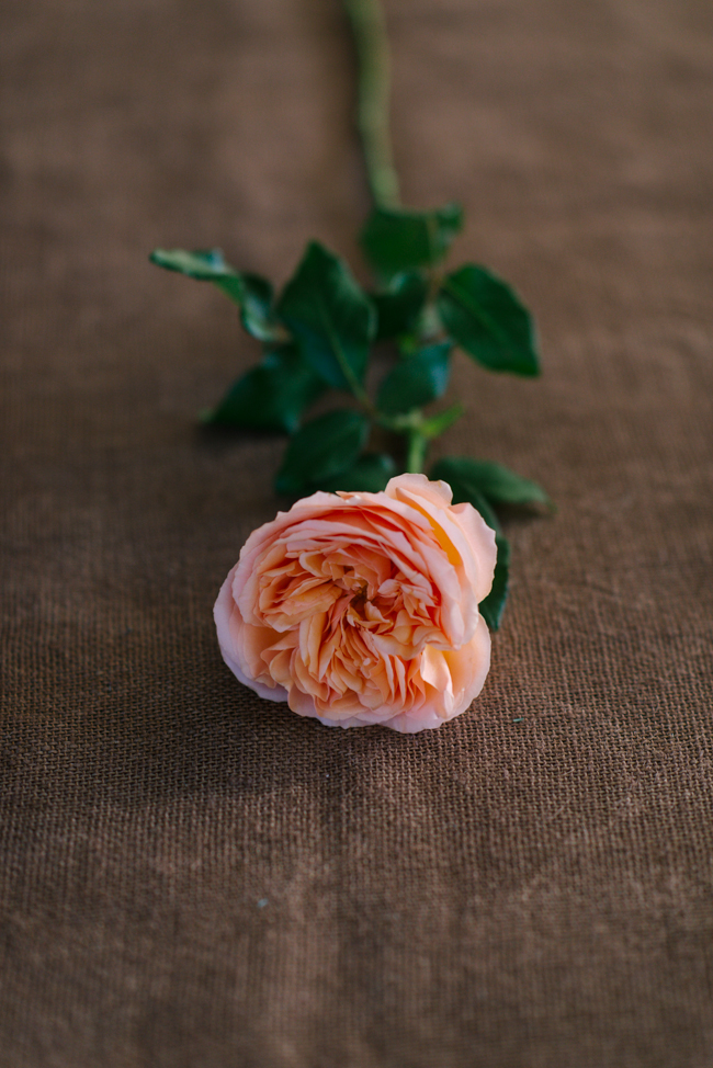 Campanella Rose - An Organic Hand-Tied Bridal Bouquet in Blush, Peach & Marsala