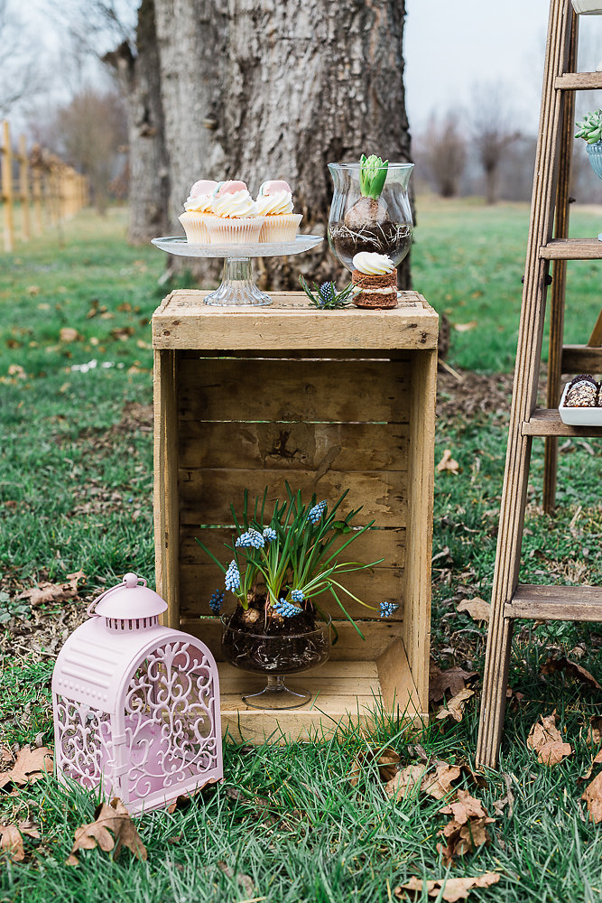 Rustic Wedding Dessert Table // Photography ~ Lisa Digliglio