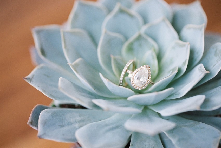 Pear Diamond Engagement Ring in a Succulent // Photography ~ @shannonduggan