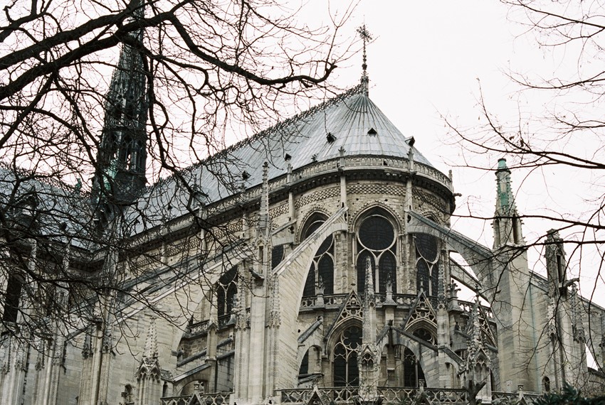 Notre Dame Cathedral // Photography ~ Lara Lam