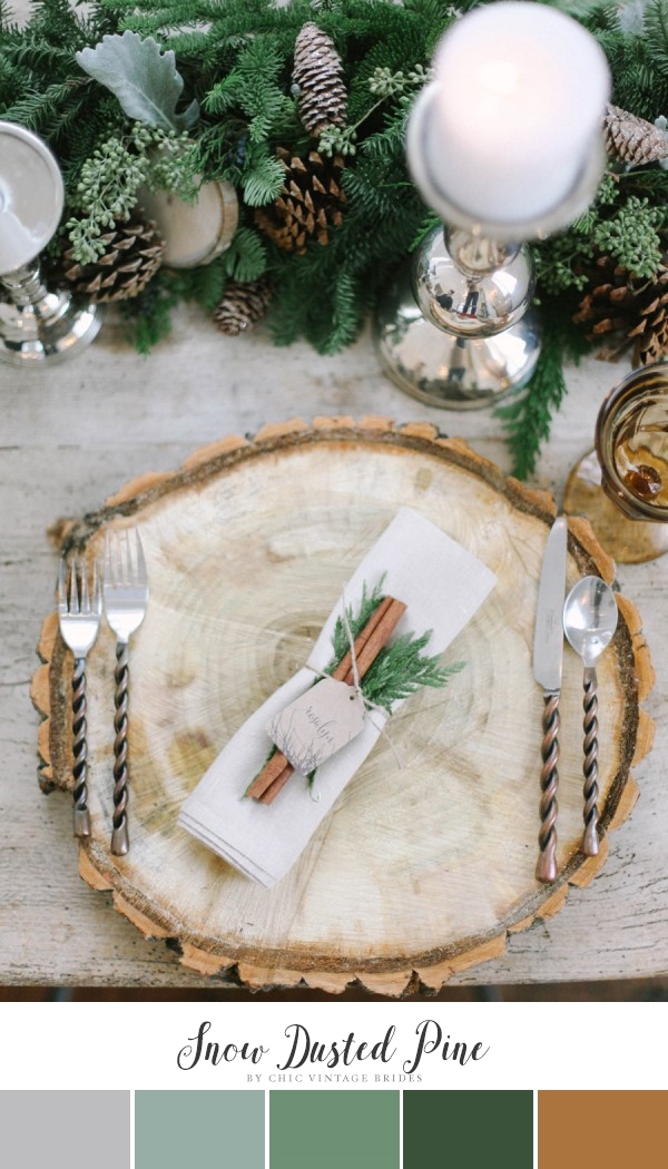 Neutral Winter Wedding Color Palette - Snow Dusted Pine