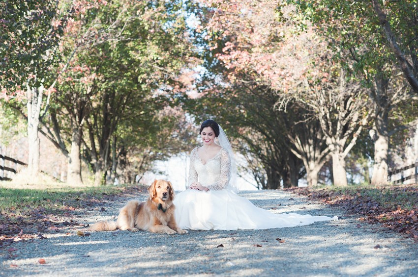 Timeless Bride and her Dog