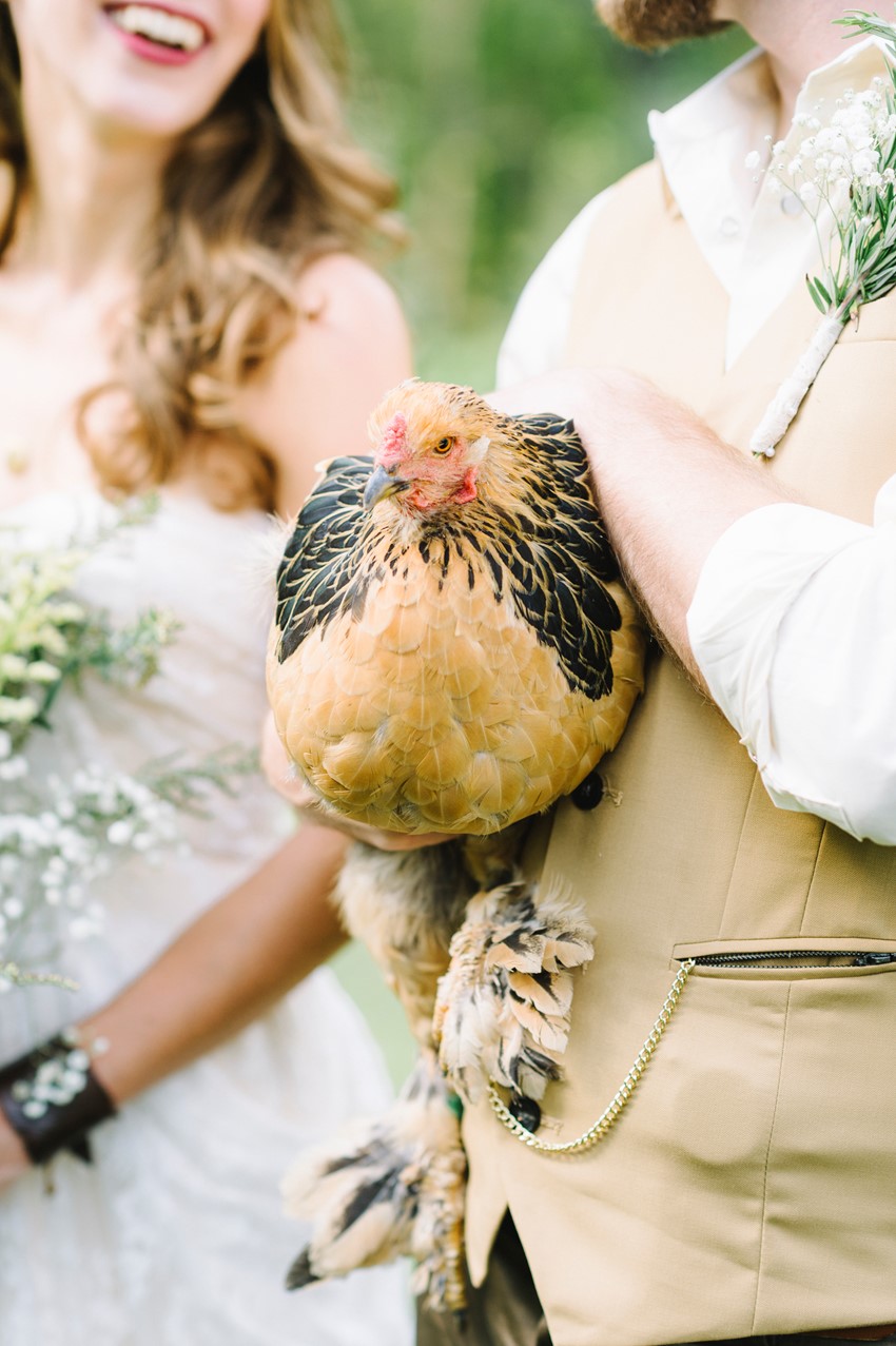 Chicken at a Wedding