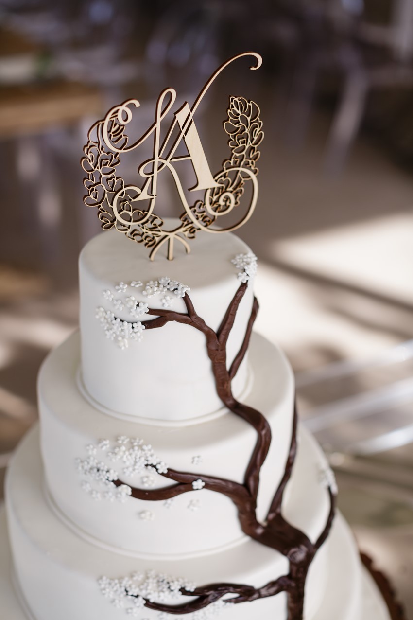 Tree Wedding Cake and Lasercut Topper