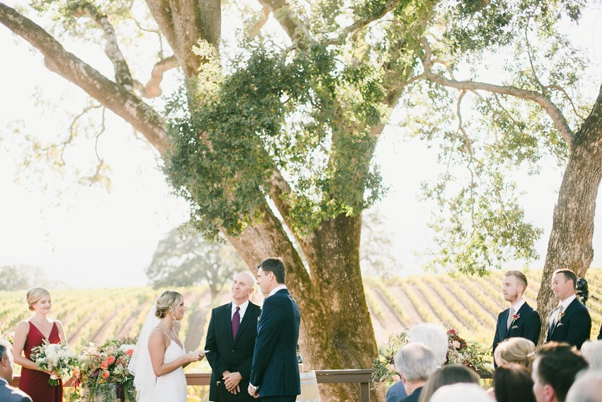 Winery Wedding Ceremony Under a Tree