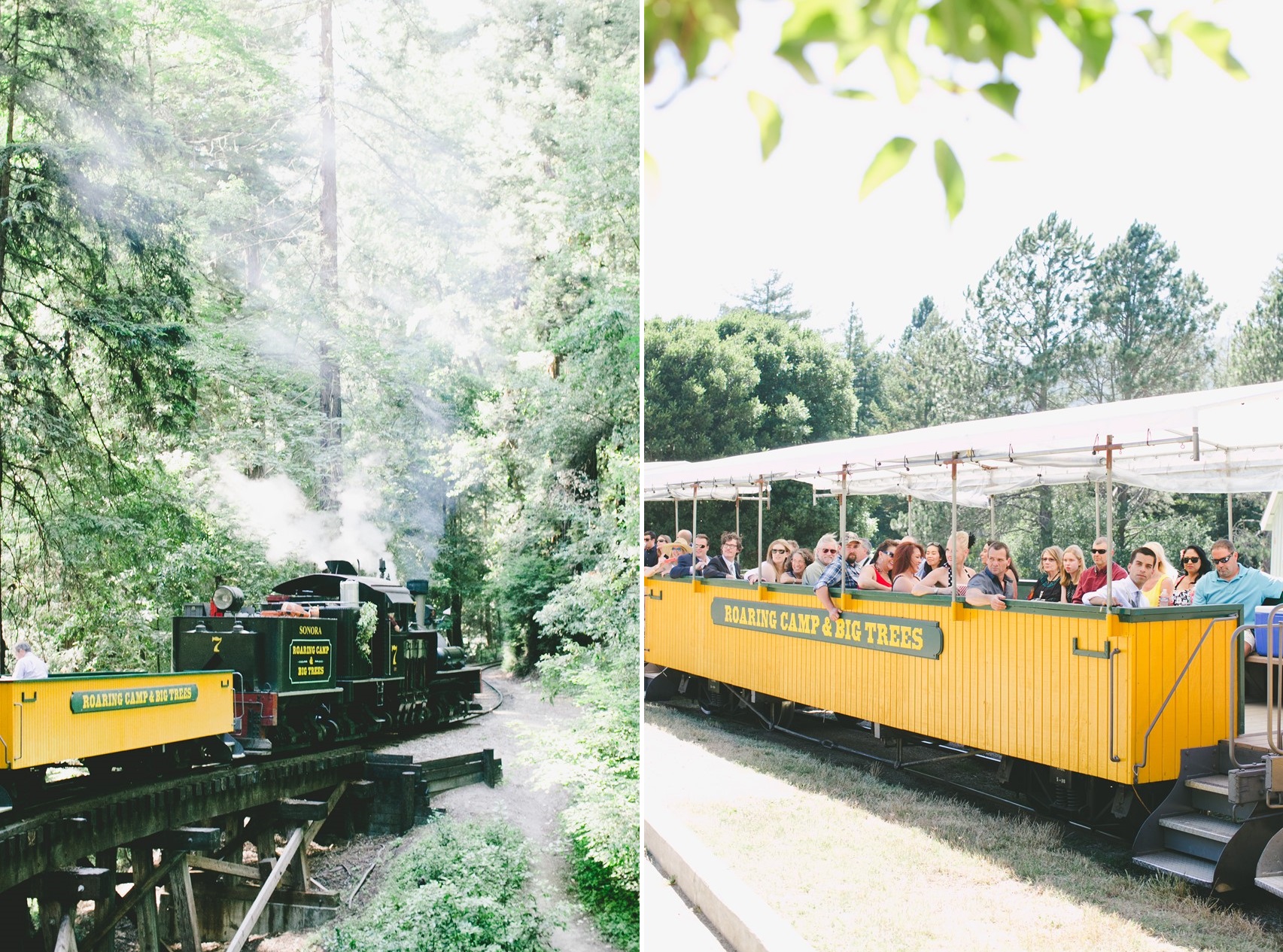 Roaring Camp Railroads Train Ride