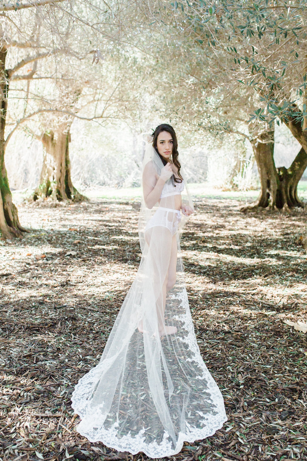 Lace Cathedral Length Veil