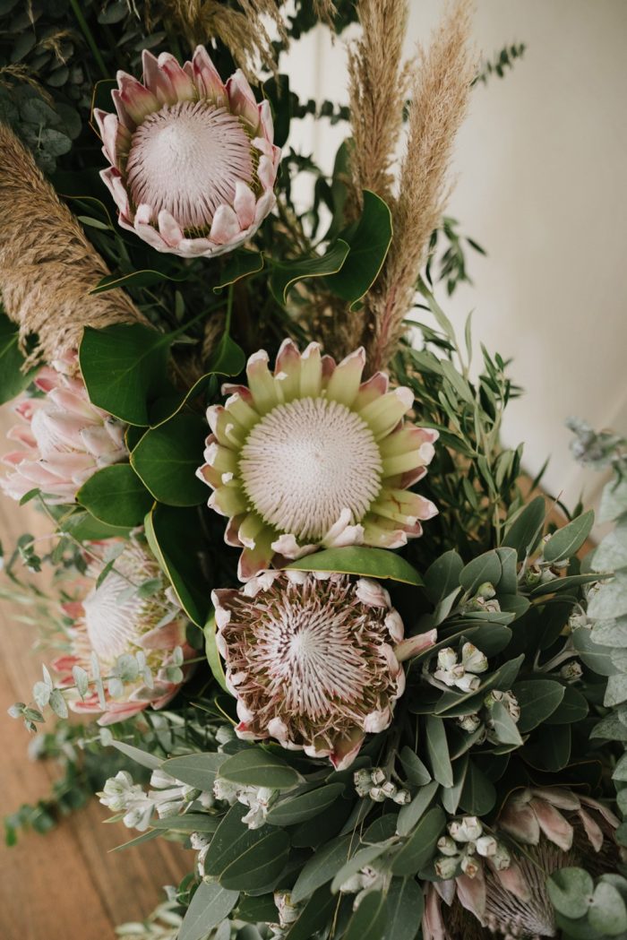 Protea Wedding Flowers