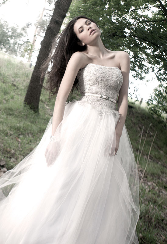 Mariana hardwick's Ambellina Wedding Dress