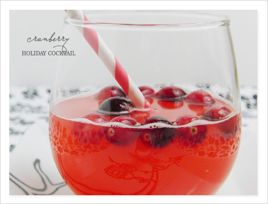 Cranberry Holiday Cocktail on Wedding Chicks