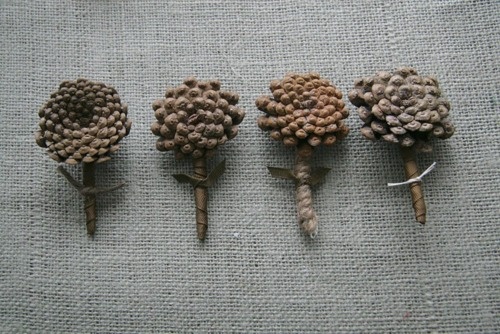 Cone Boutonnieres
