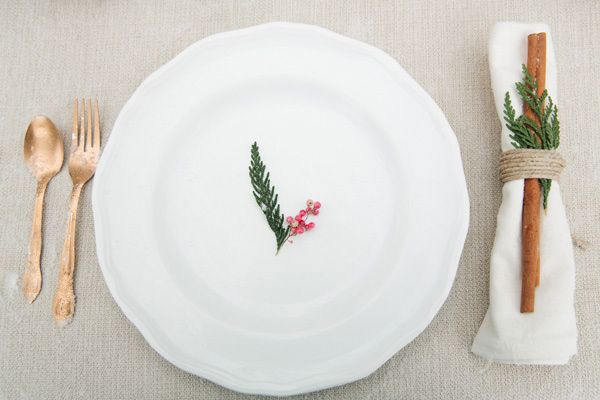 Christmas Red Winter Place Setting