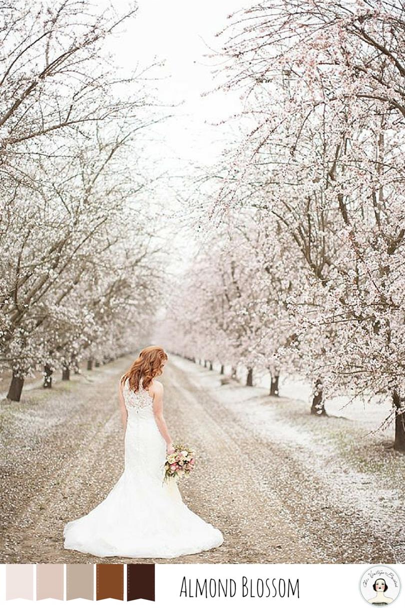 5 Spring Wedding Colors - Almond Blossom
