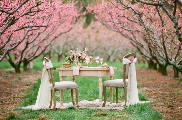 Stunning Spring Wedding Tablescape in Pink