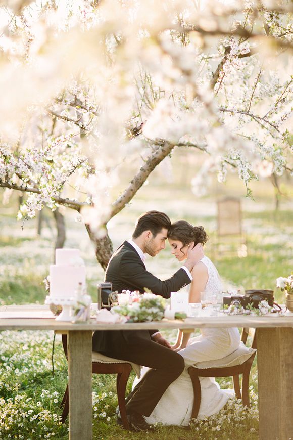 A Spring Wedding Venue Brimming with Blossom