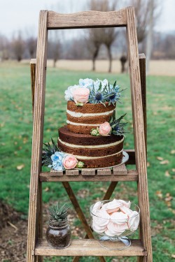 Naked Wedding Cake in Serenity & Rose Quartz // Photography ~ Lisa Digliglio