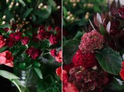 Romantic Autumn Red Roses & Hydrangeas