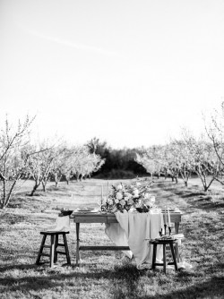 Romantic Springtime Orchard Elopement Sweetheart Table // Photography ~ Archetype