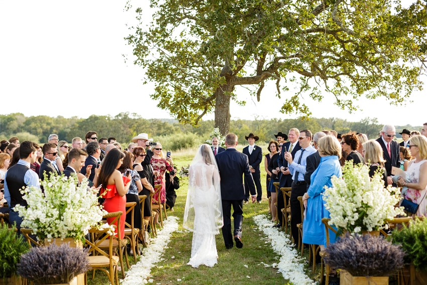Outdoor Wedding Ceremony Under a Tree
