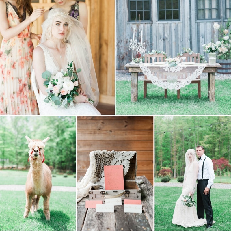 Rustic Vintage Farm Wedding Inspiration Featuring the Cutest Alpaca!