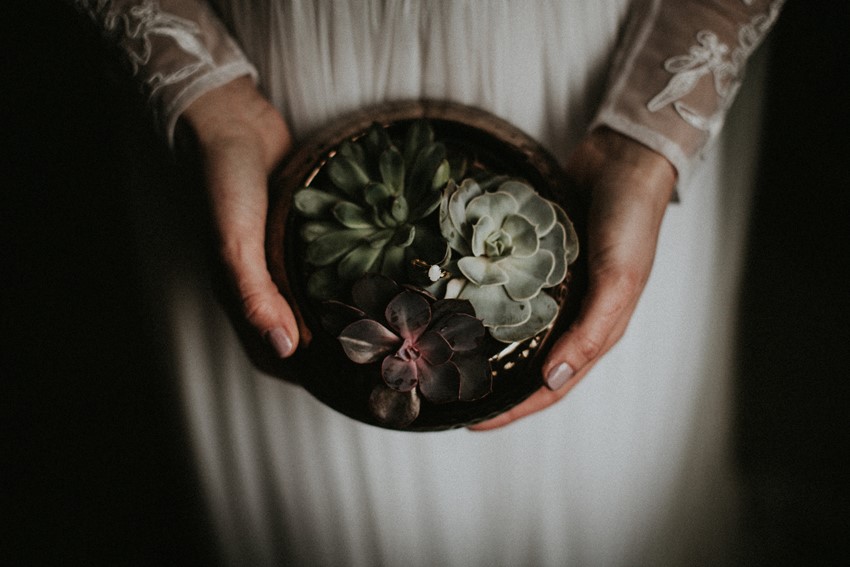 Engagement Ring in a Nest of Succulents