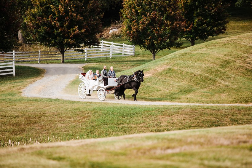Rustic Vintage Wedding Horse & Carriage Transport