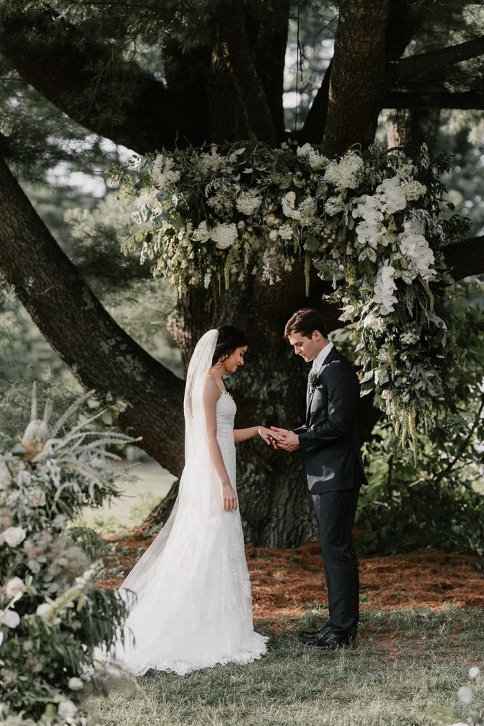Wedding Ceremony Under a Tree